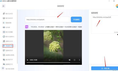 简短视频下载,下载重温精彩瞬间